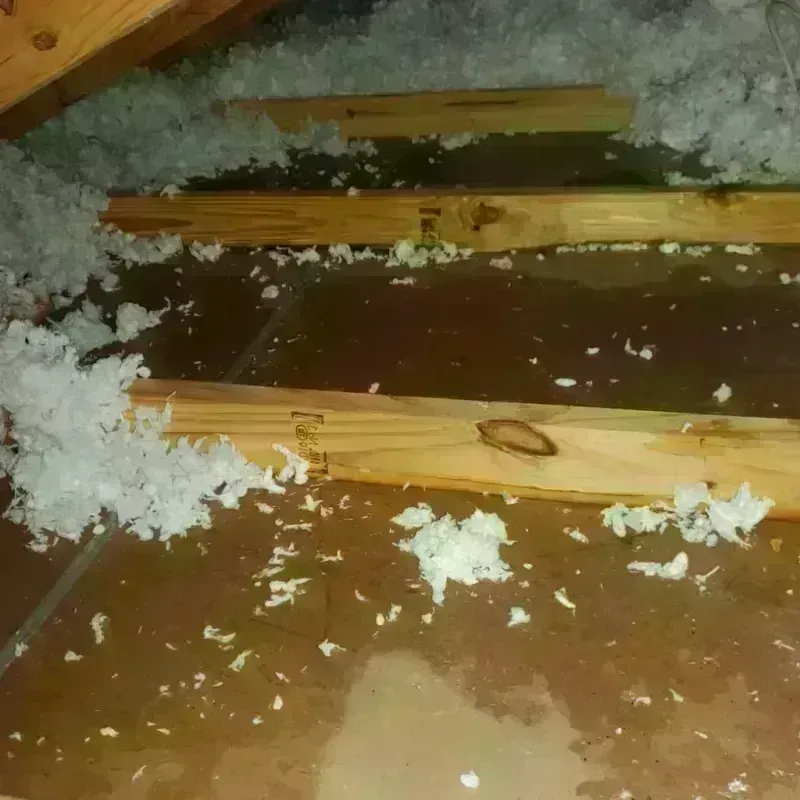 Attic Water Damage in China, TX