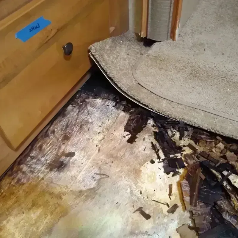 Wood Floor Water Damage in China, TX